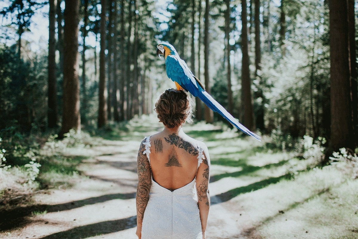 Fotoshoot met dieren papegaaien 1