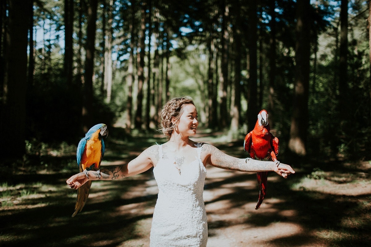 Fotoshoot met dieren papegaaien9