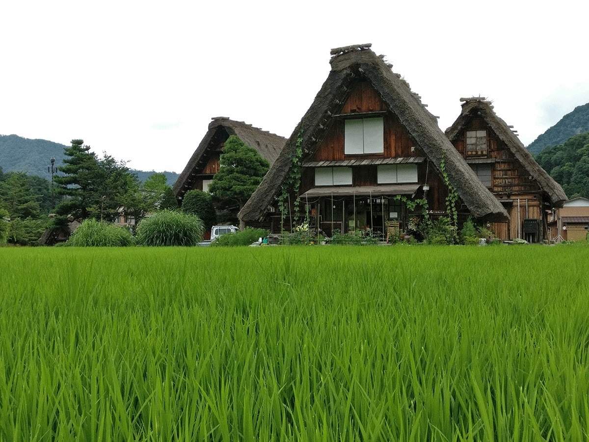 shirakawago