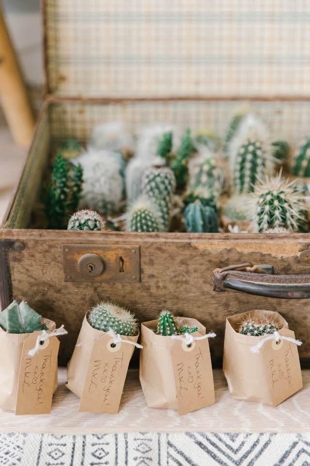 Nieuw Een cactusbruiloft voor de echte cactuslovers! Bekijk hier onze QK-05