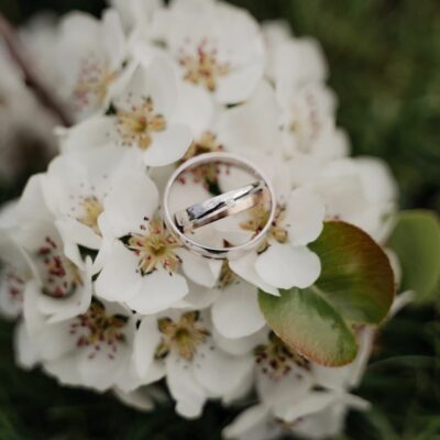 Ringen op bloesem