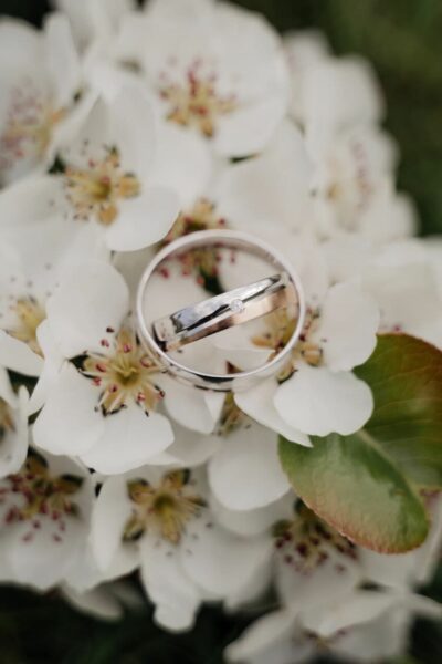 Ringen op bloesem